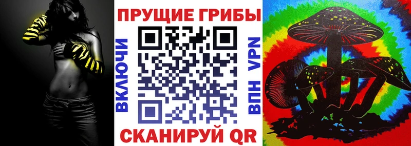 omg ONION  Медногорск  Галлюциногенные грибы ЛСД 